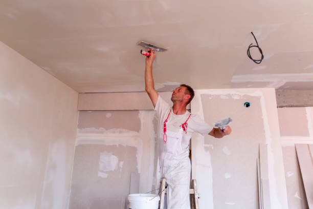 Best Repainting for Renovations  in Westville, NJ